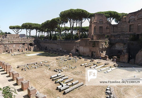 Forum Romanum  Rom  Italien  Europa