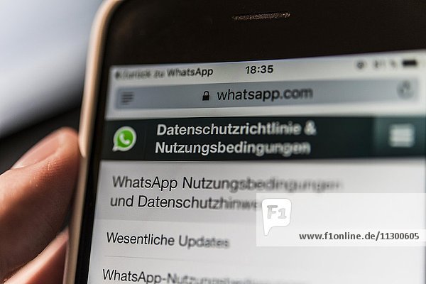 Hand hält iPhone  Smartphone  Website von WhatsApp auf dem Bildschirm  Datenschutzrichtlinie  Datenschutzrichtlinien  AGBs  AGB  Nutzungsbedinungen  Datenschutz  Sicherheit  Nutzerdaten  Makroaufnahme  Detail  formatfüllend