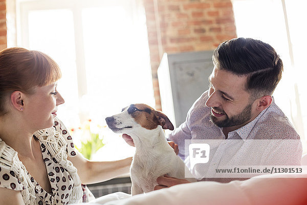 Couple petting Jack Russell Terrier dog on bed