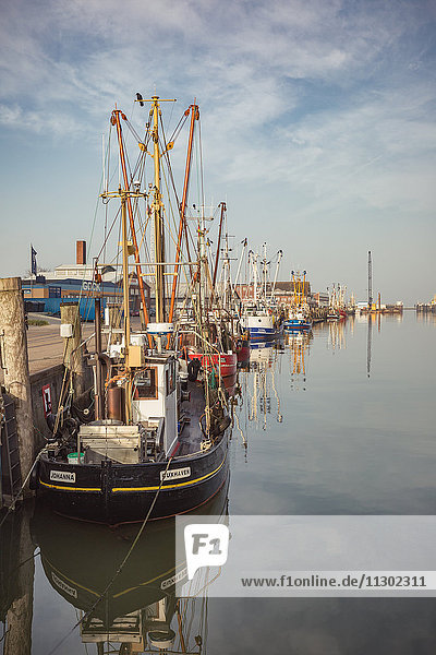 Krabbenkutter im Hafen,  Cuxhaven,  Niedersachsen,  Deutschland,  Euorpa