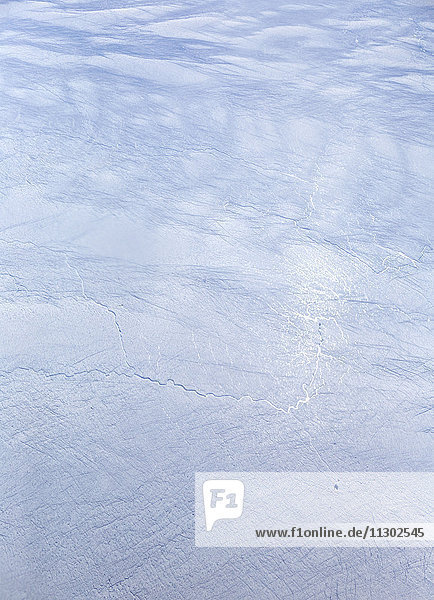 Eisschollen auf einem See  Grönland  Europa