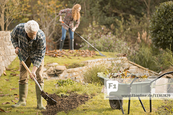 Ehepaar bei der Gartenarbeit  das Herbstlaub harkend