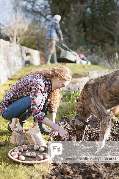 Frau mit Hund bei der Gartenarbeit pflanzt Blumenzwiebeln in Erde im Herbstgarten