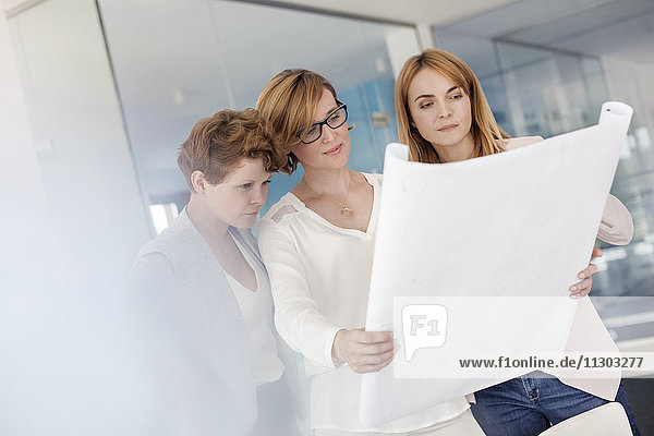 Female architects reviewing blueprints in office