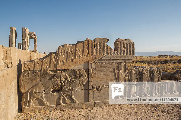 Iran  Persepolis City  Ruins of Persepolis  Relief at the Apadana Staircase  Apadana Palace