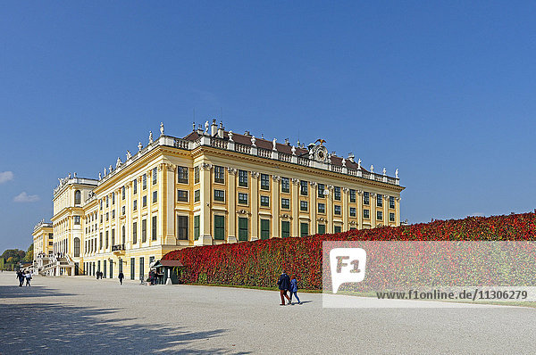 Castle  Schönbrunn  crown prince's garden  autumn  color  leaves