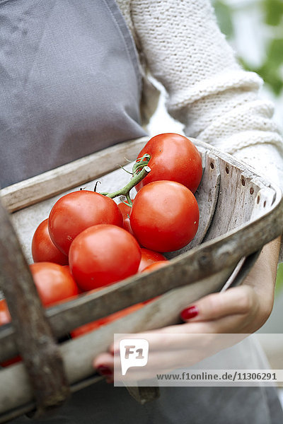 Frau hält Korb mit Tomaten