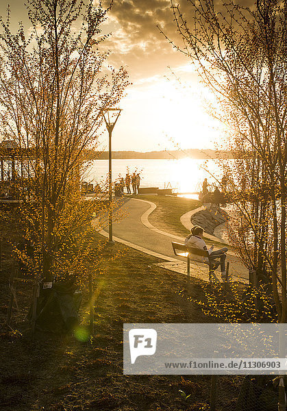 People in park at sunset