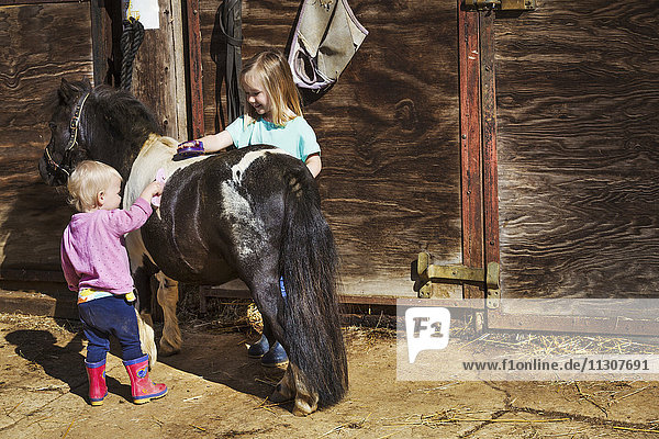 Ein Mädchen und ein Kleinkind  die in einem Stall ein Pony pflegen.