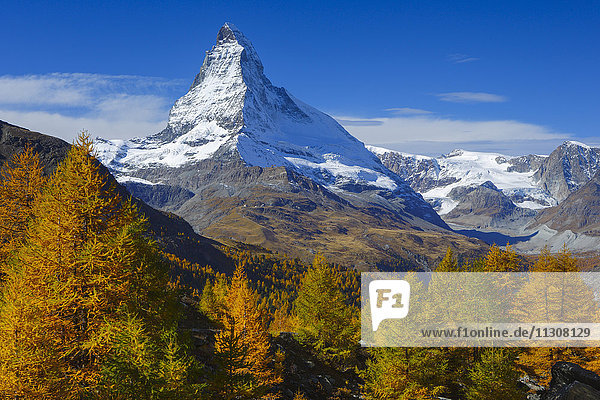 Matterhorn and larches  Valais  Switzerland