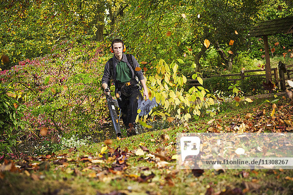 Ein Gärtner  der einen Laubbläser benutzt  um das Herbstlaub in einem Garten zu entfernen.
