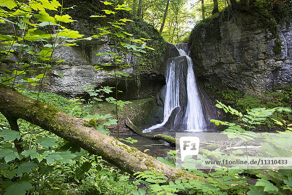 Schweiz  Europa  Baselland  Anwil  Wasserfall  Bach  Ergolz  Naturschutzgebiet