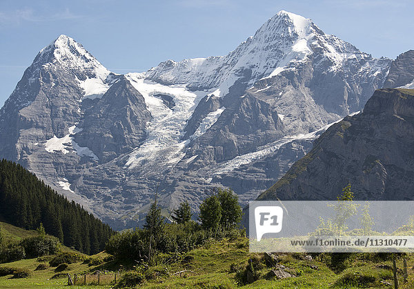 Schweiz  Europa  Berner Oberland  Mürren  Berge  Eiger  Mönch  Alpen
