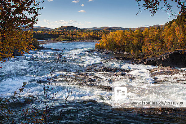 Europa  Fluss  Fluss  Herbst  Herbstfarben  Landschaft  Landschaft  Lappland  Malselfossen  Norwegen  Skandinavien  Wasser  Wasserfall