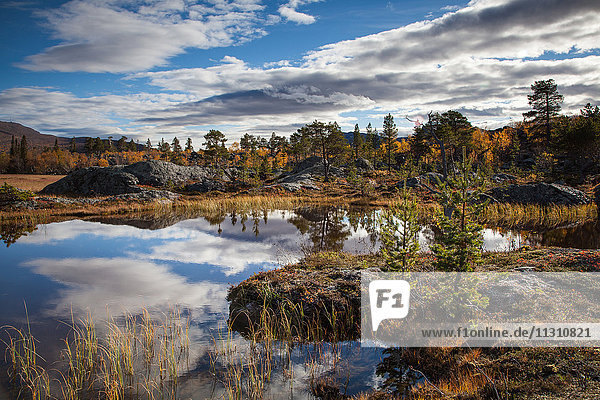 Mountains trees Europe rock cliff autumn autumn colors scenery landscape Lapland moor Swede lake Scandinavia reflection stones Stora Sjöfallets national park marsh water
