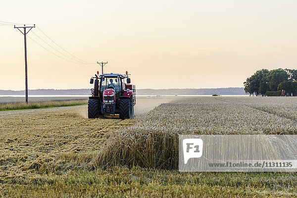 Tractor in crop field