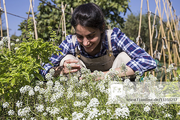 Glückliche Frau  die auf dem Bauernhof arbeitet und Blumen untersucht.