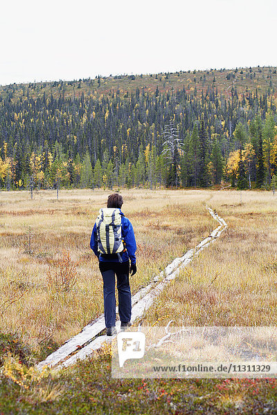 Backpacker hiking in landscape