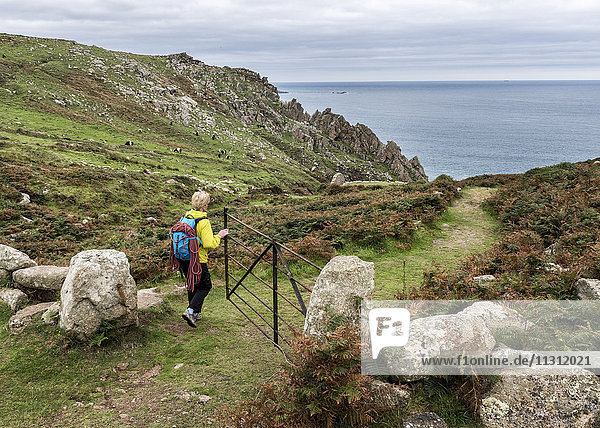 UK  Cornwall  woman at Commando Ridge climbing route