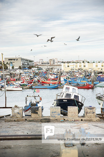 Portugal  Setubal  Fischerboote im Hafen