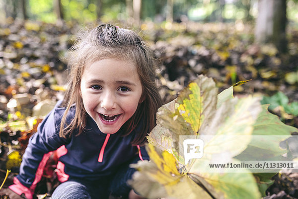 Porträt eines lachenden kleinen Mädchens  das im Wald steht und Herbstblätter hält.
