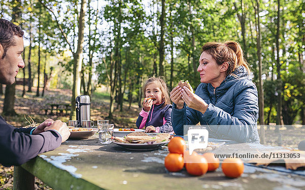 Family having picnic in the woods