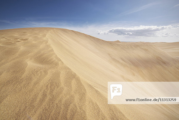 Spanien  Kanarische Inseln  Gran Canaria  Sanddünen in Maspalomas
