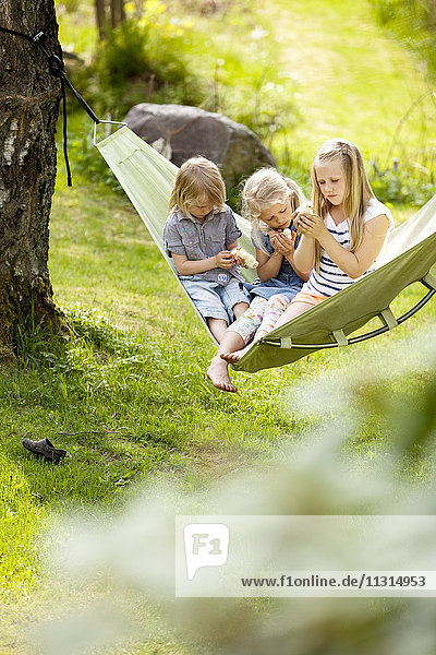 Drei Mädchen sitzen in der Hängematte und halten junge Hühner