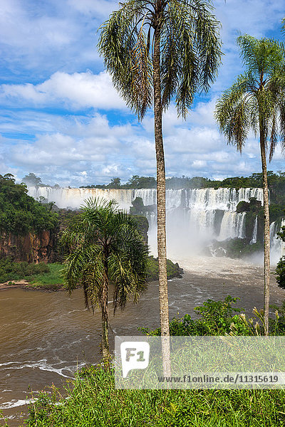 Iguazu falls  Argentina