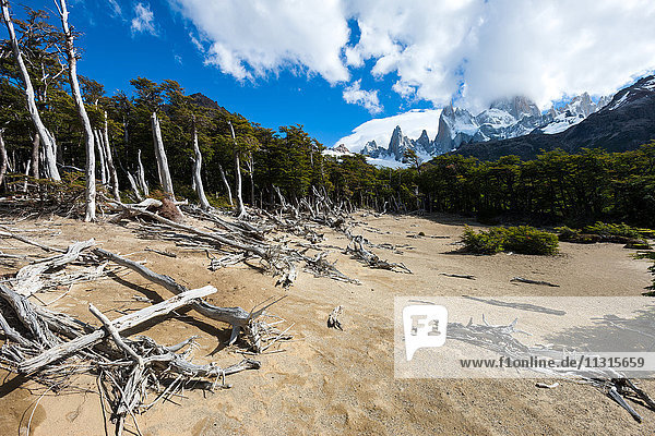 Cerro Fitz Roy  Argentinien  Patagonien