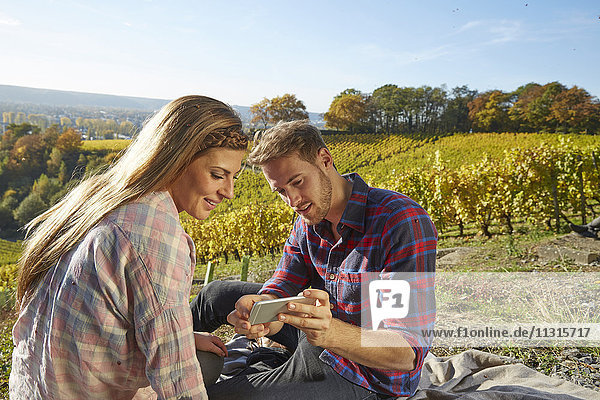 Junges Paar in einem Weinberg  das sich ein Handy teilt