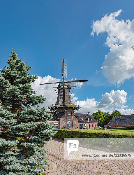 Roderwolde  Drenthe  Windmill called Woldzigt
