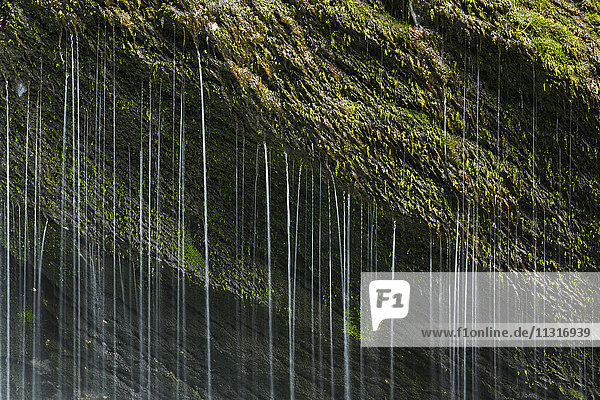 Detail of the Thur waterfalls  canton of St. Gallen  Switzerland