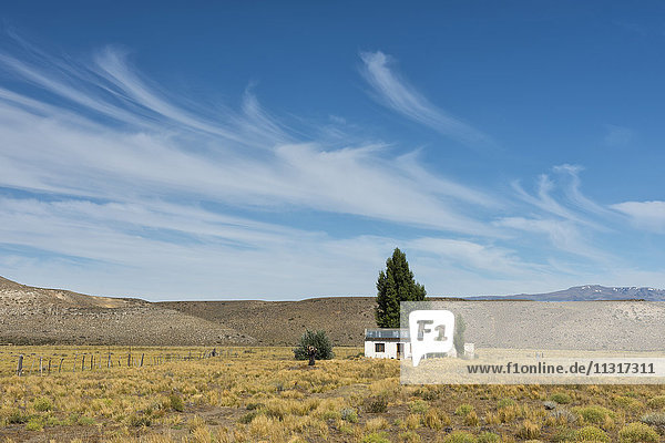 Südamerika  Argentinien  Chubut  Patagonien  Haus in der Pampa