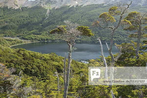 Südamerika  Argentinien  Tierra del Fuego  See bei Ushuaia