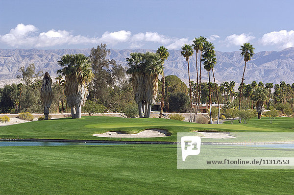 USA  Kalifornien  Palm Springs  Golfplatz  Indian Canyons Golf Resort