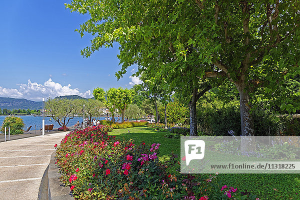 Bank promenade  lake Garda  lake