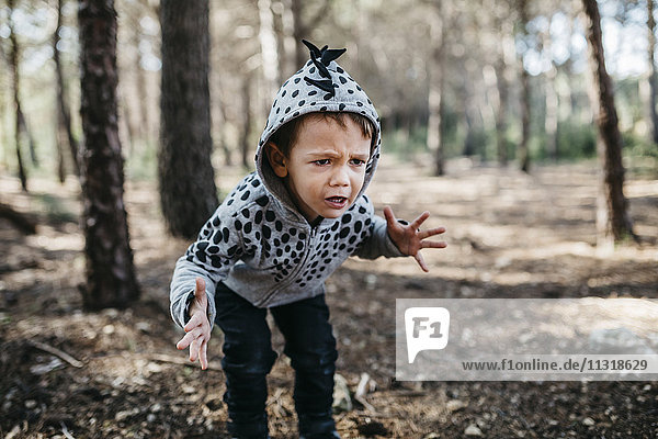 Portrait eines kleinen Jungen mit Kapuzenjacke  der im Wald Monster spielt.