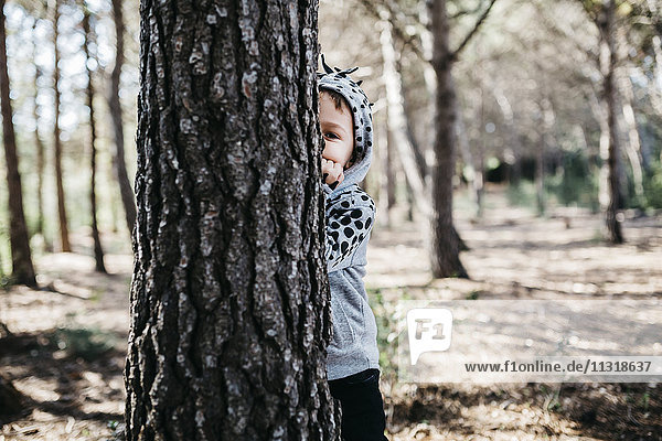 Kleiner Junge versteckt sich hinter einem Baumstamm im Wald.