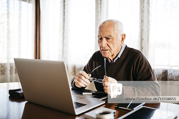 Senior photographer looking at laptop at home
