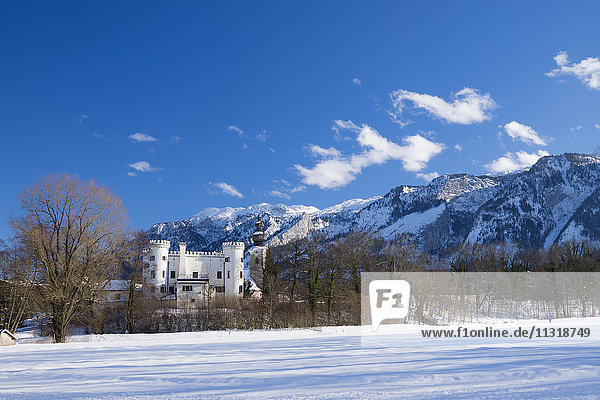 Schloss Marzoll  Winter  mit Untersberg im Hintergrund  Bayern