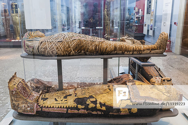 England  London  Britisches Museum  Ausstellung von ägyptischen Mumien