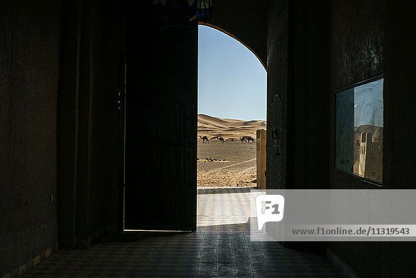 Marokko  Merzouga  Blick durch das Tor zur Landschaft mit Kamelen in der Wüste Erg Chebbi