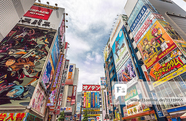 Japan  Tokyo City  Akihabara Shopping District
