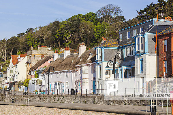 England  Dorset  Lyme Regis  Unterkünfte und Geschäfte am Strand