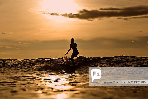 Indonesien  Bali  Silhouette der Frau beim Surfen bei Sonnenuntergang