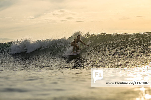 Indonesien  Bali  Frau beim Surfen bei Sonnenuntergang