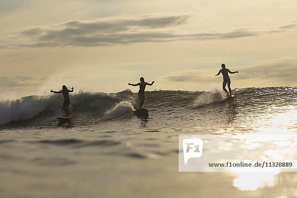 Indonesia  Bali  three surfers at sunset