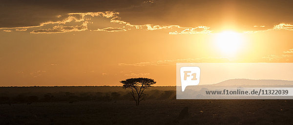 Namibia  Kunene Region  Sonnenuntergang