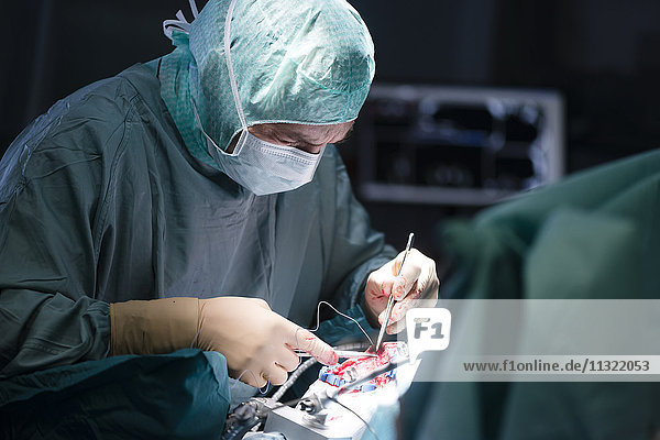 Neurochirurgische Verschluss-Operationswunde